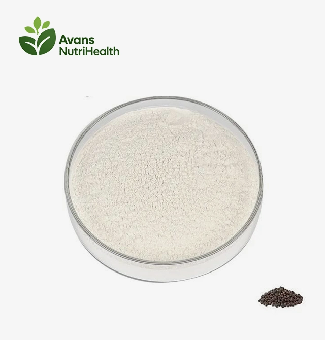 Piperine Extract Powder